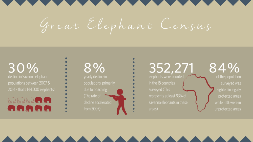 The Great Elephant Census