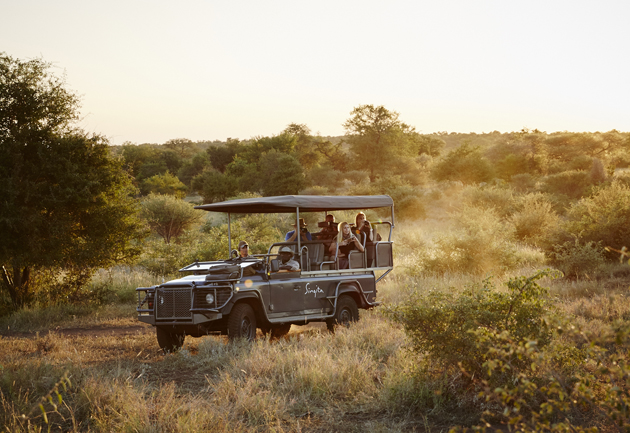 Game drive in Singita Kruger National Park