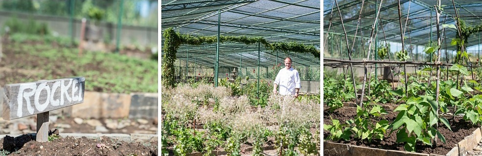 Herb garden at Singita Grumeti