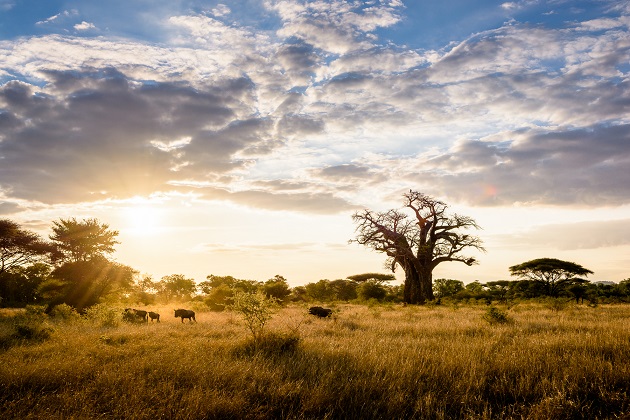 Singita Pamushana Lodge, Zimbabwe