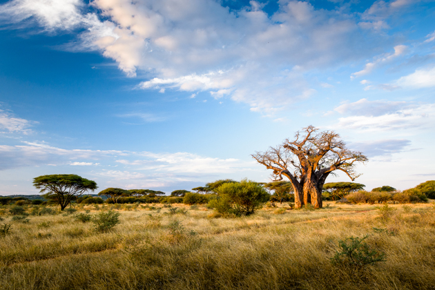 Malilangwe Wildlife Reserve