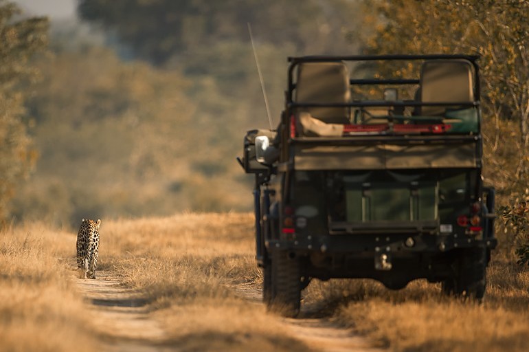 World Wildlife Day 2016 | Singita