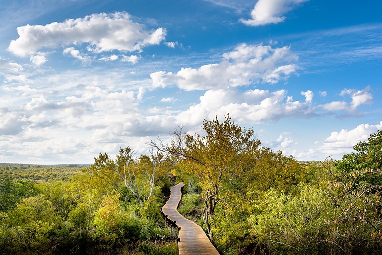 Singita Kruger National Park, South Africa