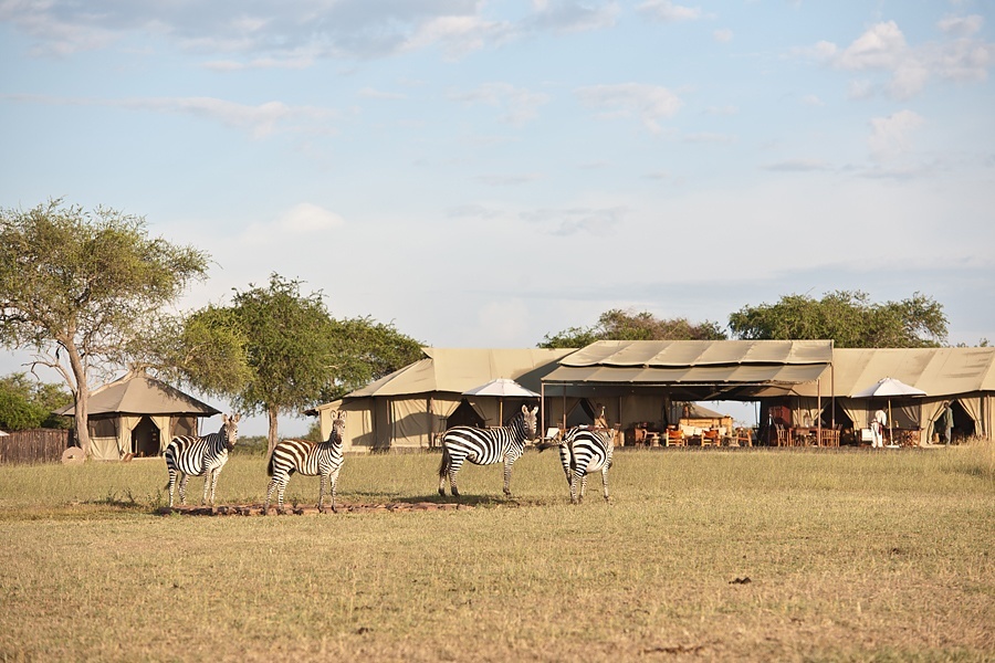 Bush breakfast at Singita Grumeti