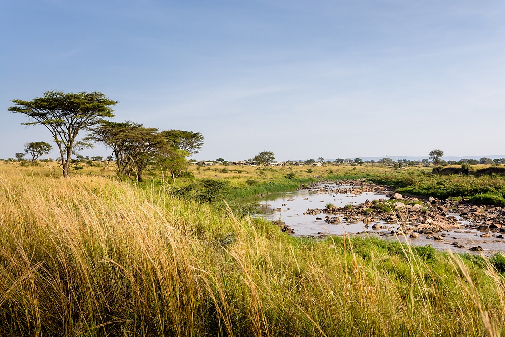 Singita Mara River Tented Camp