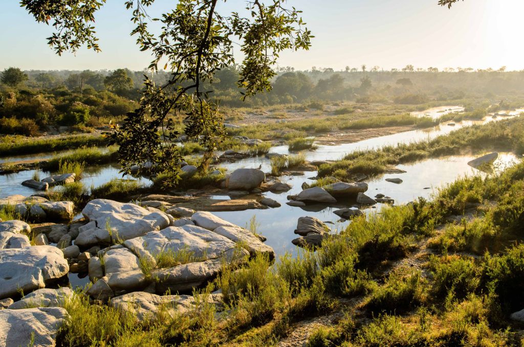 Singita Sabi Sand, South Africa