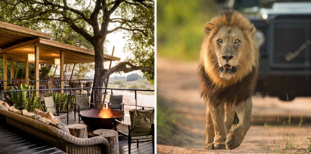 Sustainability at Singita