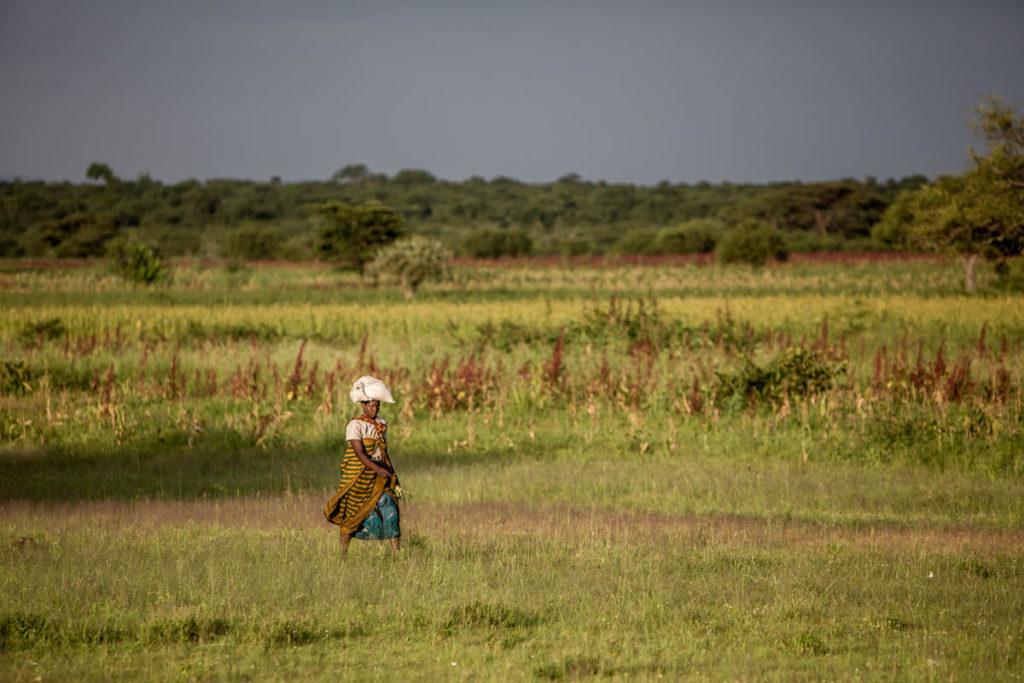 Conservation & Community at Singita