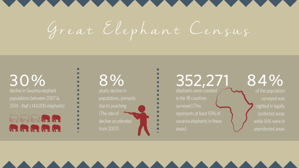 The Alarming Results of the Great Elephant Census Bush Story Singita