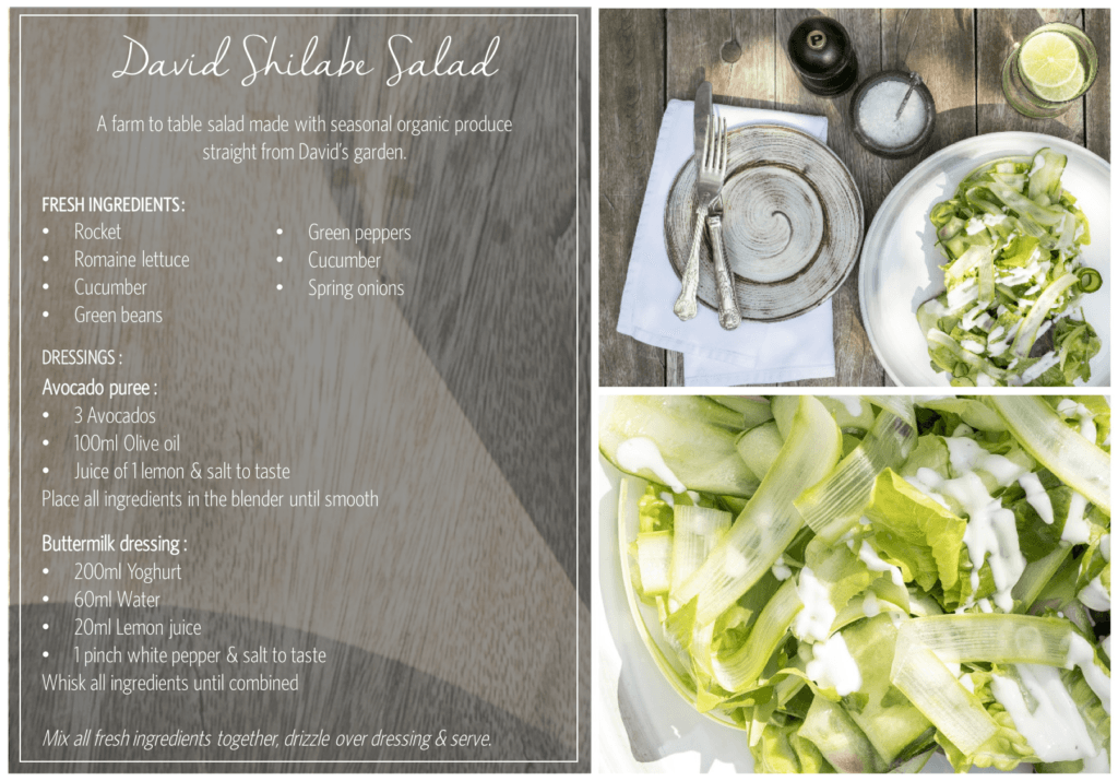 David Shilabi Salad Recipe