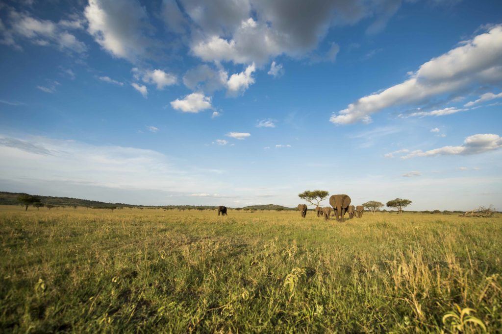 Singita Grumeti, Tanzania