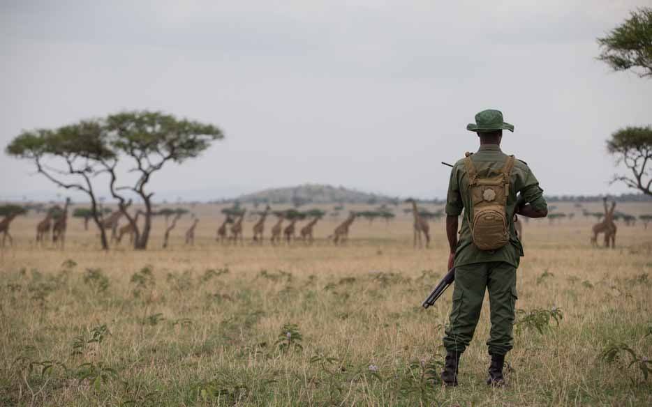 Singita Grumeti | Conservation | Anti-Poaching