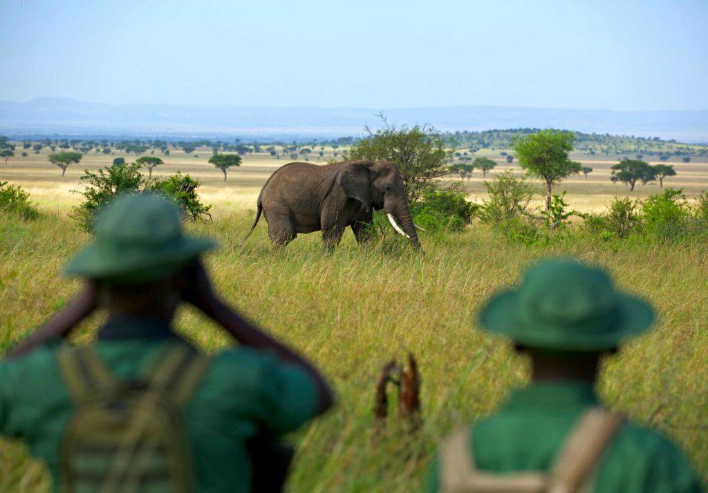 Singita Grumeti, Tanzania