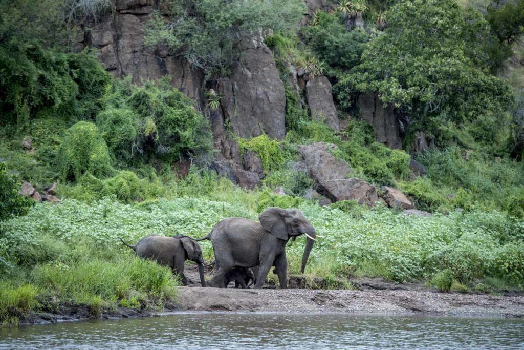 Singita Kruger National Park, South Africa