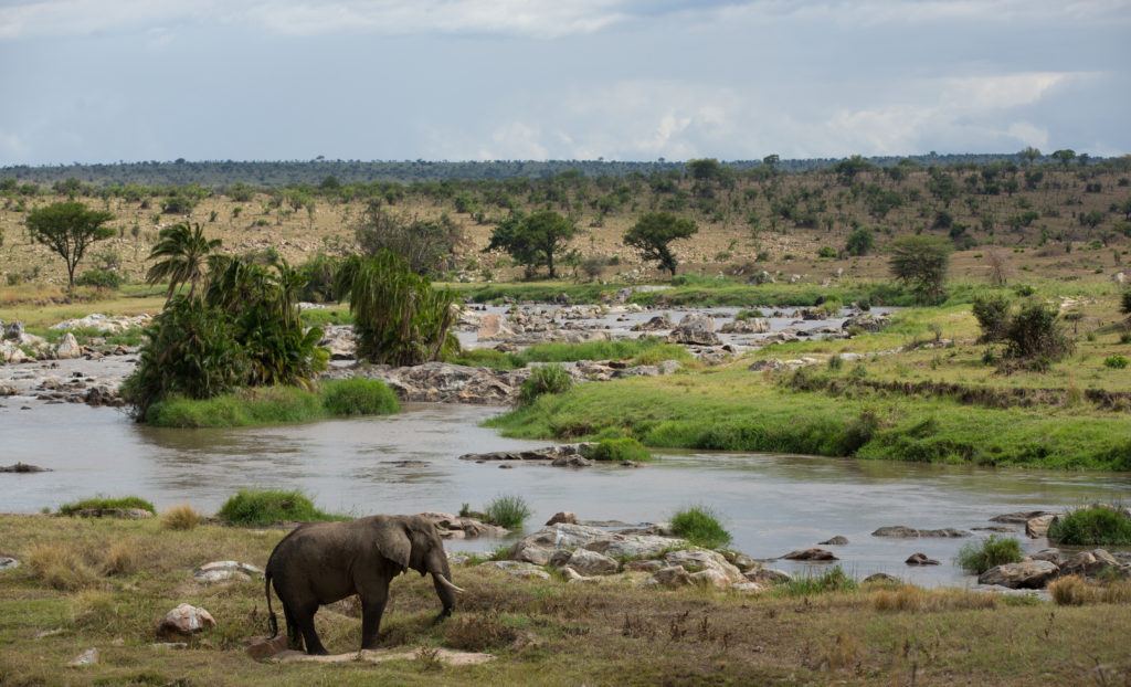 Singita Lamai, Tanzania