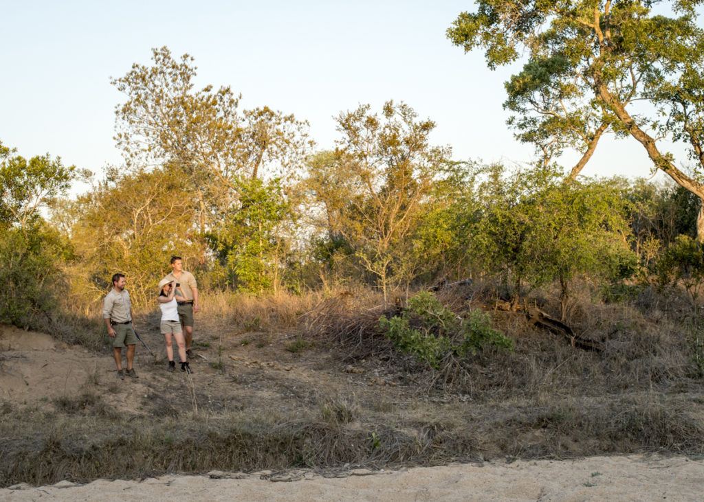 Guided safari walks at Singita