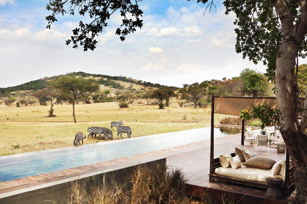 Experience Your Own Private Piece of the Serengeti - Bush Story | Singita