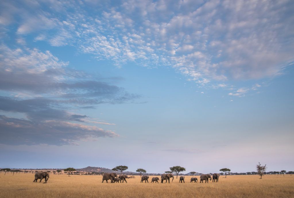 Singita Grumeti