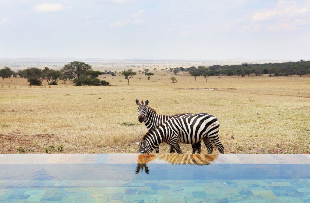 Singita Serengeti House