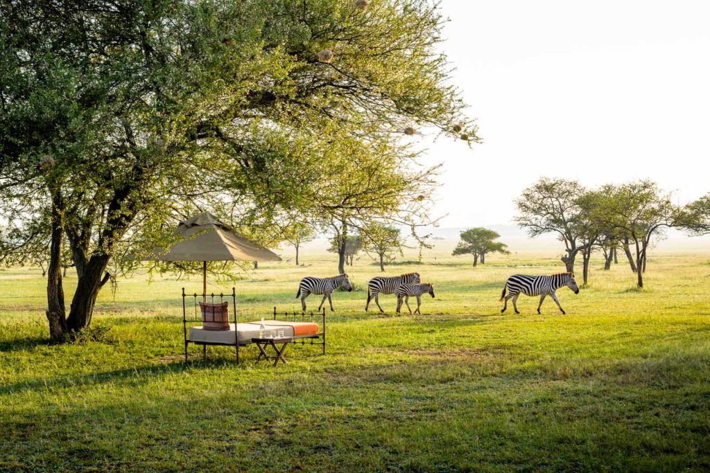 Serengeti Green Season