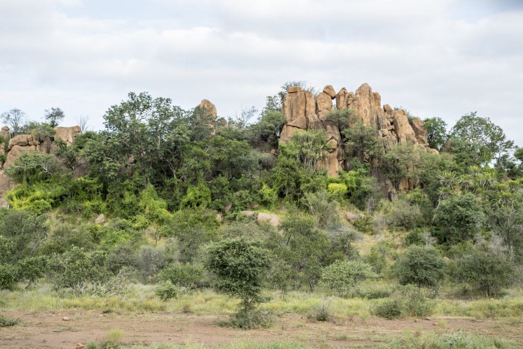 Singita Kruger National Park