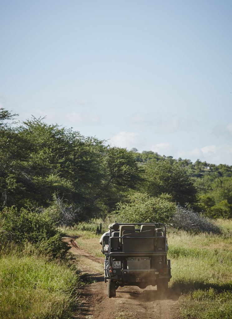 Singita Kruger National Park