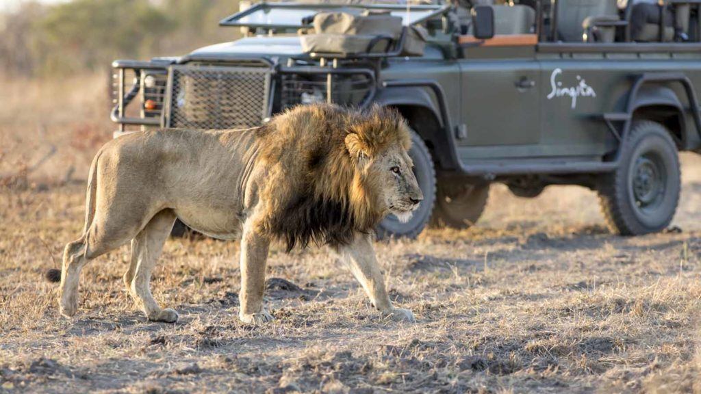 Singita Sabi Sand