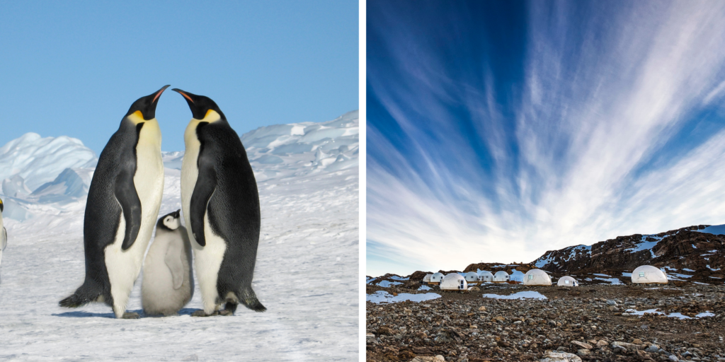 Whichaway Camp, Antarctica