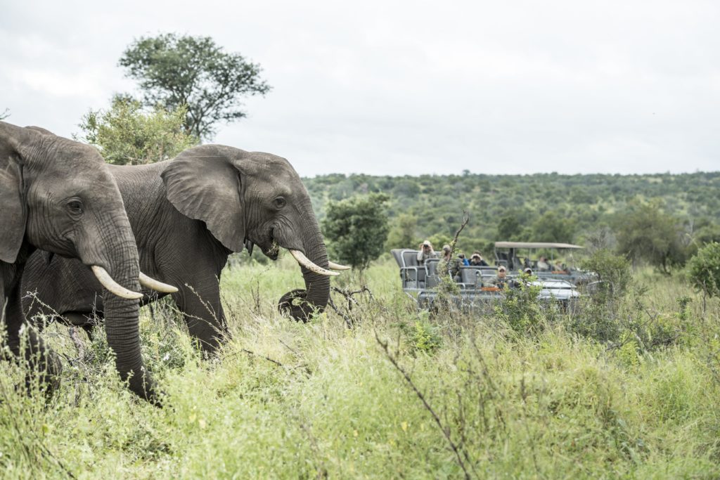 Sweni Lodge Kruger National Park Singita