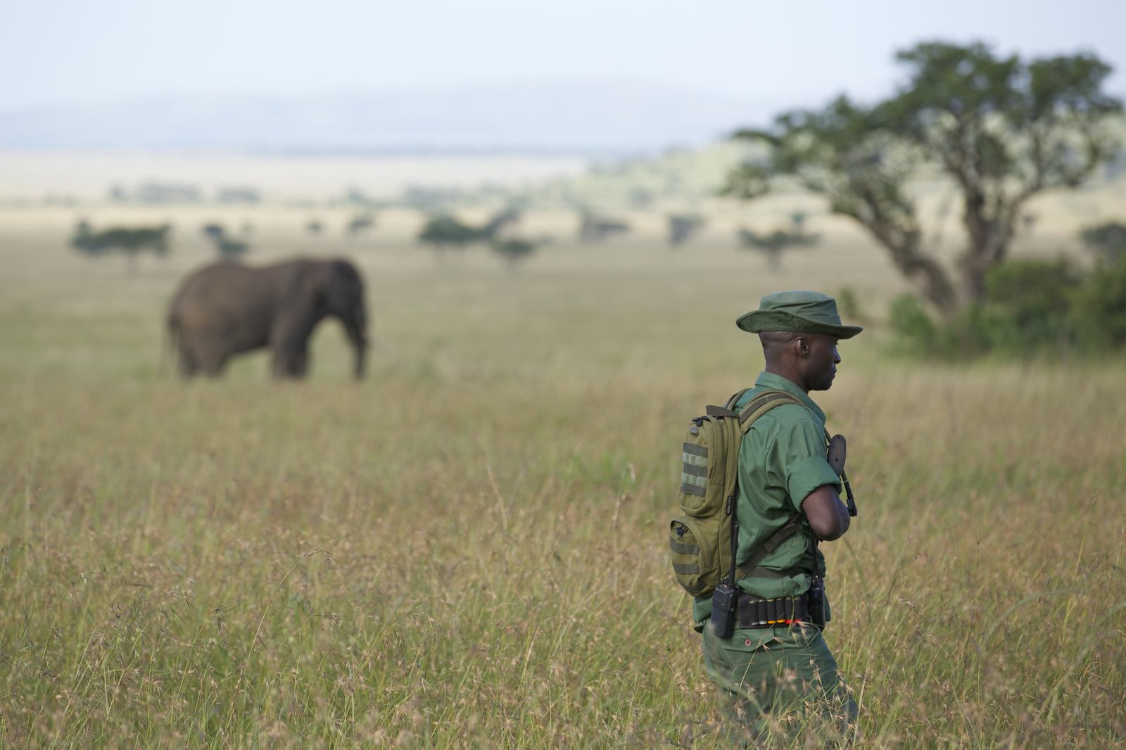 The Wildlife Protector | Community & Conservation, Wildlife | Singita